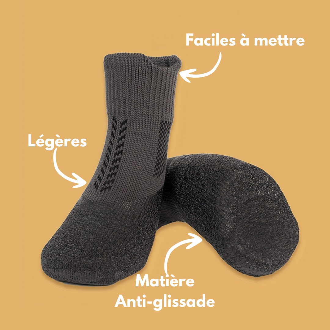 Chaussures pour chien
