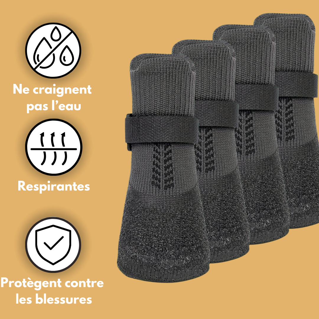 Chaussures pour chien