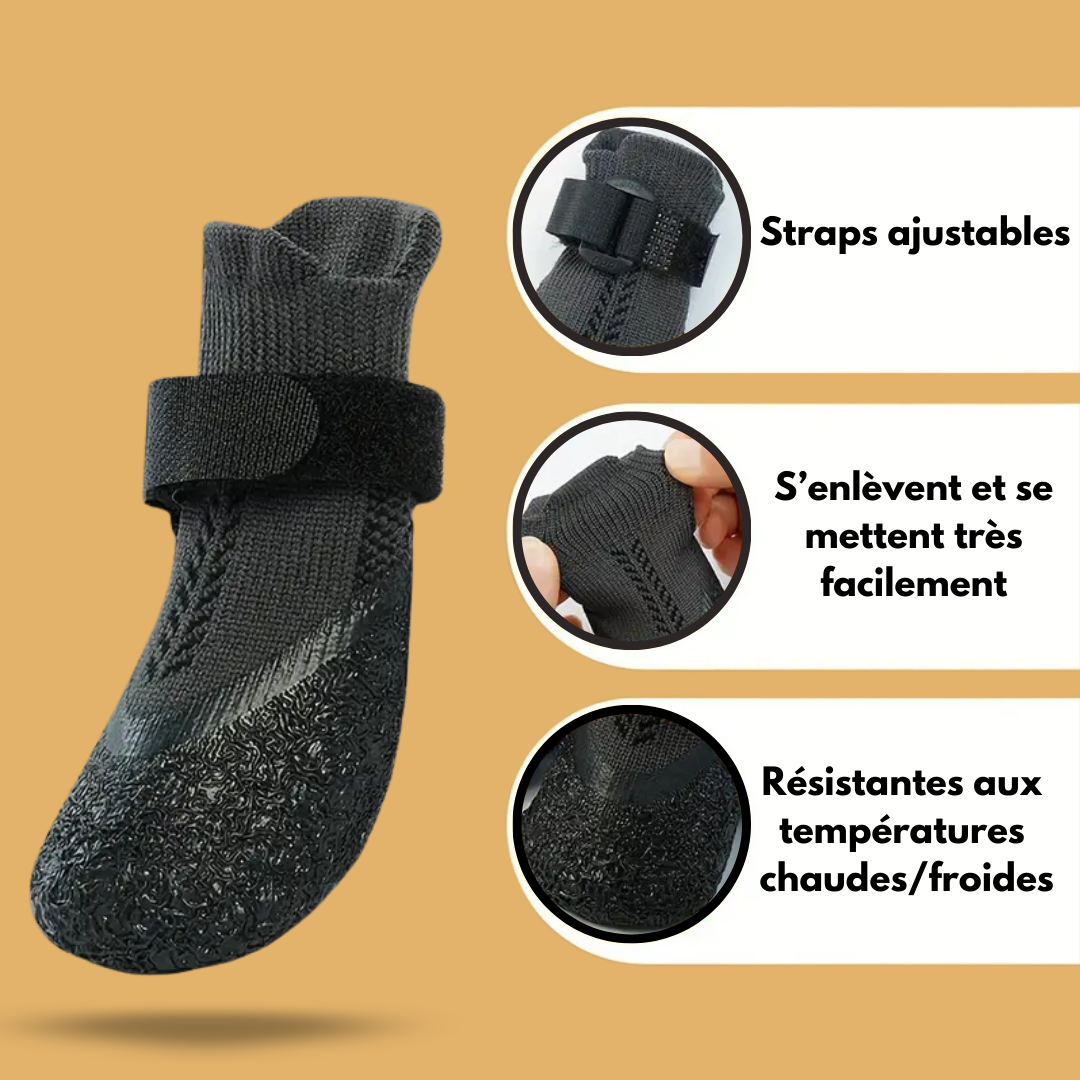 Chaussures pour chien