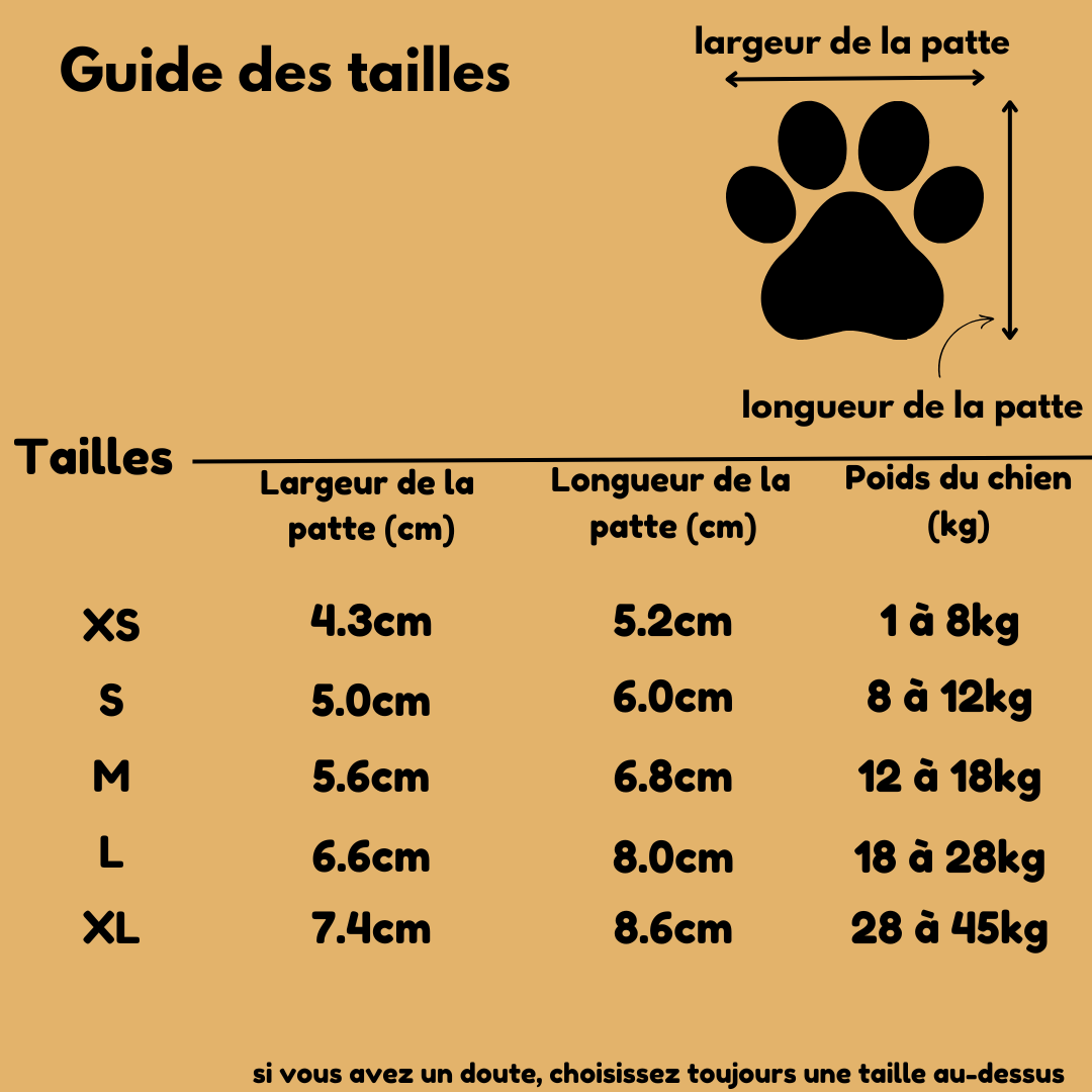 Chaussures pour chien