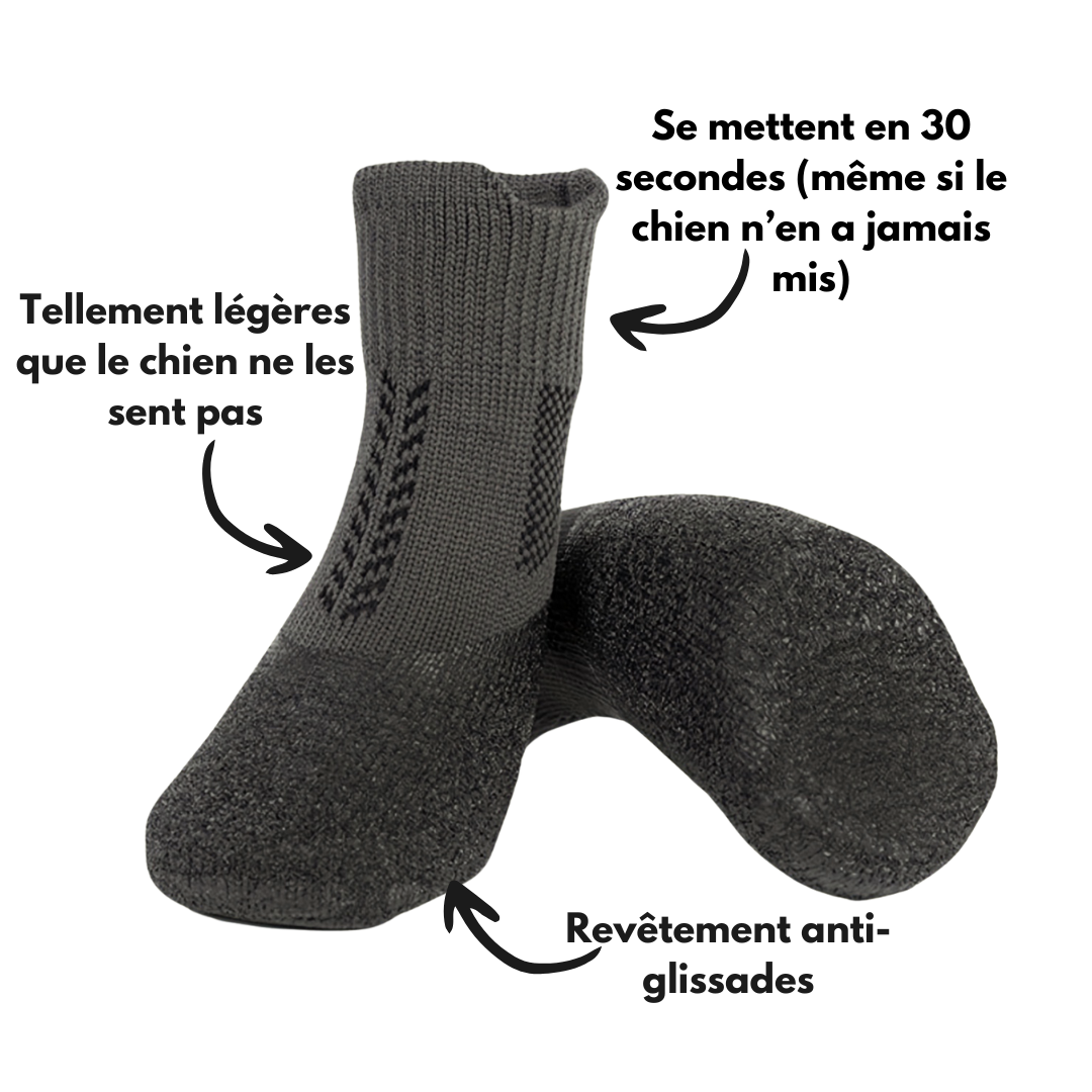 CANIBOOTS™  - Chaussures protectrices pour chien (4 saisons)