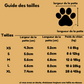 Chaussures pour chien